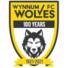 温纳姆狼队logo